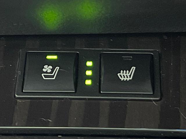 �y�V�[�g�x���`���[�V�����z�ď�͗��������ł��K��w���̔M�⃀����h���A�~�̓G�A�R�������������܂��ă|�J�|�J�ɁI�G�߂��킸���K�ɉ߂����܂��B