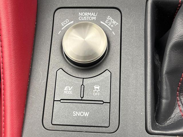 RC RC300h Fスポーツ ムーンルーフ 角型三眼LEDヘッドライト 純正ナビ バックカメラ ブラインドスポットモニター レーダークルーズコントロール プリクラッシュセーフティ ベンチレーション メモリー付パワーシート ETC(63枚目)