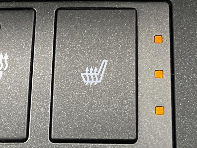 IS IS300 Fスポーツ 後期 オレンジキャリパー 純正ナビ バックカメラ レーダークルーズコントロール ブラインドスポットモニター プリクラッシュセーフティ シートヒーター パワーシート ETC LEDヘッドライト(9枚目)