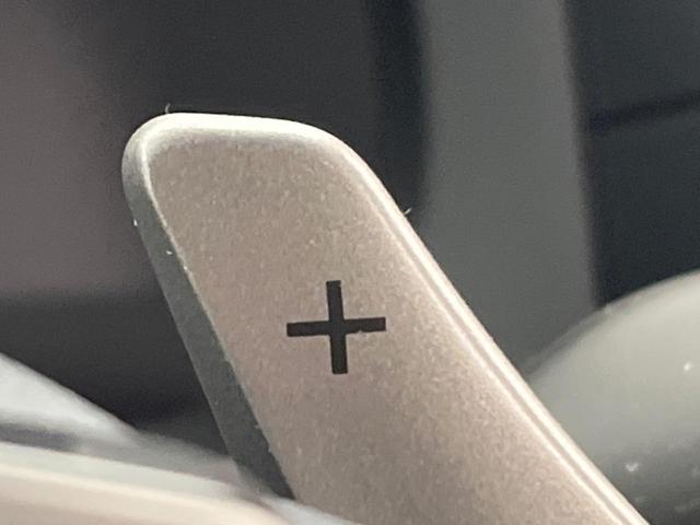 IS IS300 Fスポーツ 後期 オレンジキャリパー 純正ナビ バックカメラ レーダークルーズコントロール ブラインドスポットモニター プリクラッシュセーフティ シートヒーター パワーシート ETC LEDヘッドライト(45枚目)