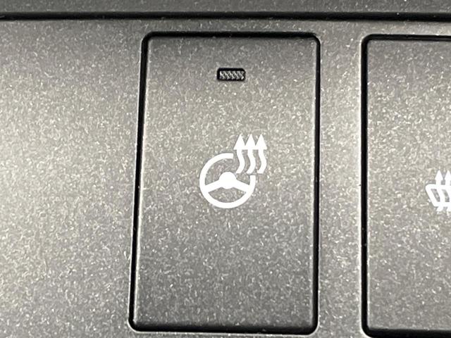 IS IS300 Fスポーツ 後期 オレンジキャリパー 純正ナビ バックカメラ レーダークルーズコントロール ブラインドスポットモニター プリクラッシュセーフティ シートヒーター パワーシート ETC LEDヘッドライト(59枚目)