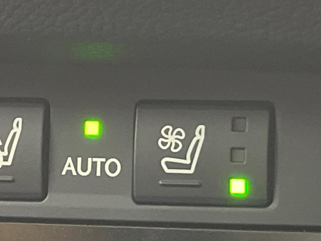 ES ES300h Fスポーツ マークレビンソンサウンドシステム デジタルインナーミラー カラーヘッドアップディスプレイ ムーンルーフ メーカナビ 禁煙車 バックカメラ レーダークルーズコントロール プリクラッシュセーフティ ETC(11枚目)