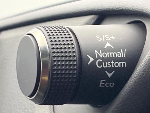 ES ES300h Fスポーツ マークレビンソンサウンドシステム デジタルインナーミラー カラーヘッドアップディスプレイ ムーンルーフ メーカナビ 禁煙車 バックカメラ レーダークルーズコントロール プリクラッシュセーフティ ETC(50枚目)