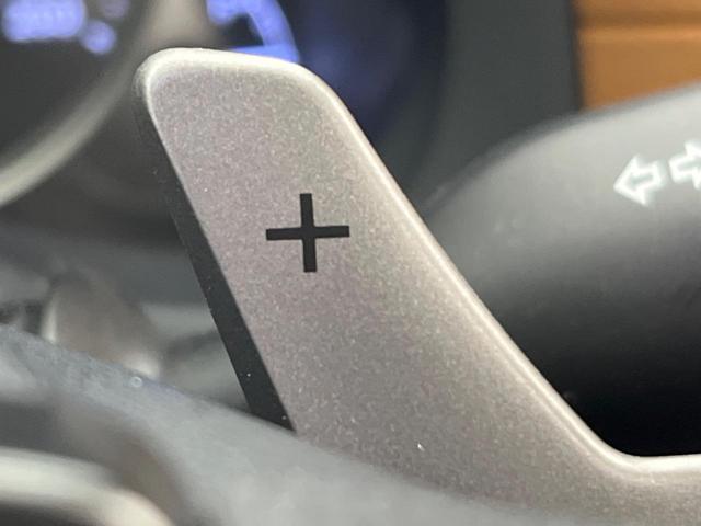 ＩＳ ＩＳ３００　バージョンＬ　後期　禁煙車　セーフティシステムプラス　レーダークルーズコントロール　ブラインドスポットモニター　３連ＬＥＤヘッドライト　純正１９インチアルミホイール　シートベンチレーション　茶革　プレミアムサウンド（54枚目）