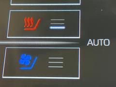 ڥȥ٥졼۲ƾäǤǮɤߤϥ᤯ޤäƥݥݥˡ鷺Ŭ˲ᤴޤ 7