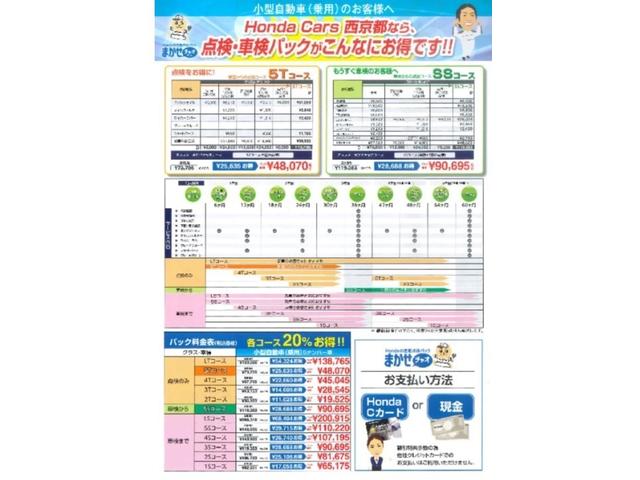 G・ホンダセンシング(20枚目)