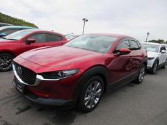 ãءݣ أġ̥ѥåǥ륿ܡﳲڸ֥졼 0709116A20251102Z001 6