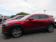 ãءݣ أġ̥ѥåǥ륿ܡﳲڸ֥졼 0709116A20251102Z001 7