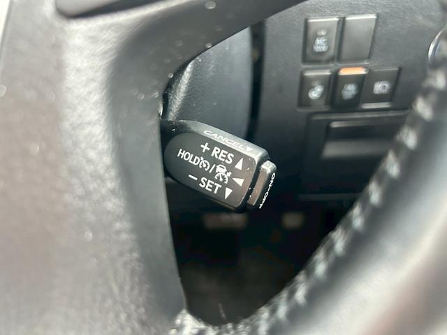 アルファードハイブリッド SR Cパッケージ 禁煙 サンルーフ 車高調 ワーク20インチアルミ リアエンター JBL メーカーナビ フルセグTV 全周囲モニター CD BSM デジタルインナーミラー フリップダウンモニター 両側電動スライドドア(26枚目)