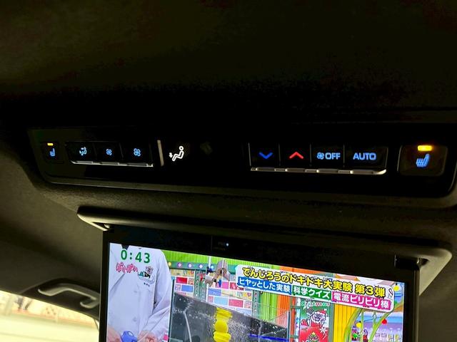 ヴォクシー Ｓ－Ｚ　禁煙　衝突軽減システム　レーダークルーズ　ディスプレイオーディオプラス（ナビＴＶ　ＤＶＤキット付き）　フリップダウンモニター　２列目シートヒーター　ＨＵＤ　デジタルインナーミラー　両側電動スライドドア（22枚目）