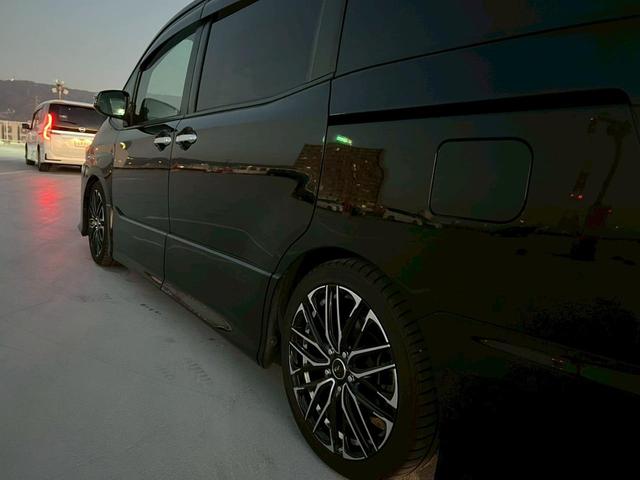 ���Љ�L�����y�[�����{���I�Љ�������Ƒ��E���F�l���A������̏ꍇ���������T���I�I