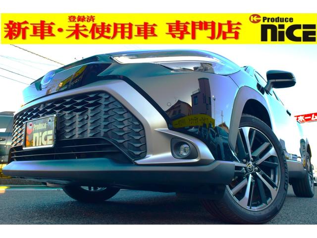 限定特価 チュールレースVネック袖付きフレアドレス