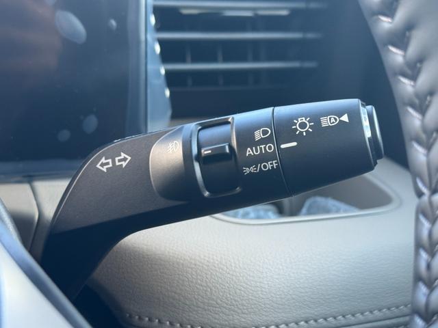 デリカミニ T プレミアム パノラマビュー!シートヒーター!ステアリングヒーター!クルーズコントロール!両側電動スライドドア!オートエアコン!リアサーキュレーター!電動パーキング!シートバックテーブル!(29枚目)