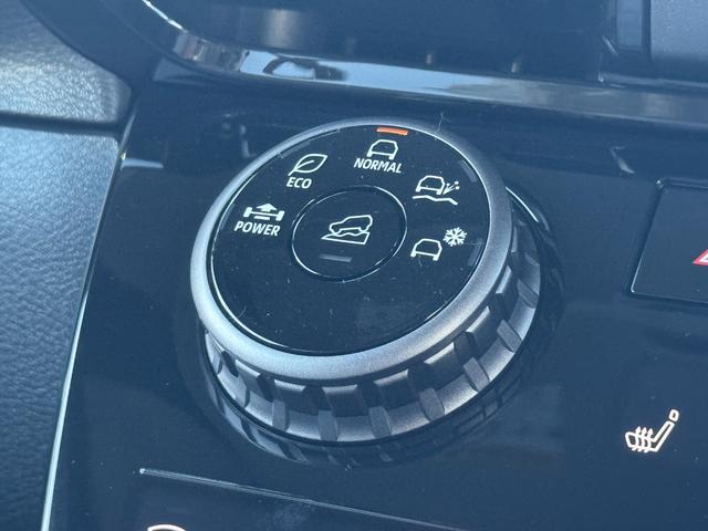 デリカミニ T プレミアム パノラマビュー!シートヒーター!ステアリングヒーター!クルーズコントロール!両側電動スライドドア!オートエアコン!リアサーキュレーター!電動パーキング!シートバックテーブル!(41枚目)