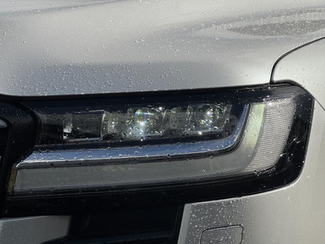 �y�k�d�c�w�b�h���C�g�z�������Ŏ��E�ǍD��ʐ؂�̐S�z���قƂ�ǂ���܂����