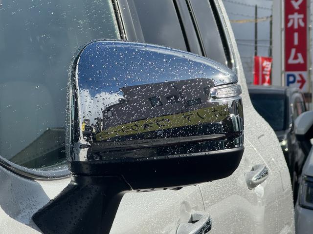 �y�d���i�[���~���[�z�{�^���Ńh�A�~���[�̊J���\�I