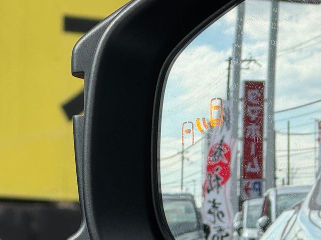 �u���C���h�X�|�b�g���j�^�[�I