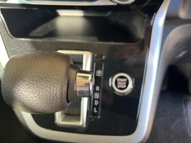 セレナ X Vセレクション(46枚目)