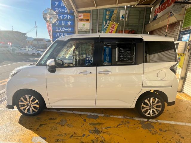 �v���̖ڂŌ��I�����d�����O�ꂵ�Ă���܂��I�y�����Ԃ��獂���ԁE���p�Ԃ܂ŕ��L����葵���Ă���܂��I