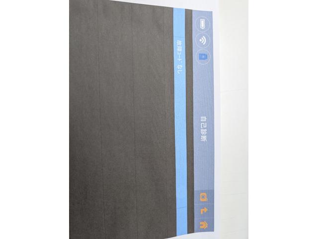 エルフトラック 3t低床強化ダンプ・3tダンプ・6MT・フルフラットロー 積載3000kg・リアロックピン2か所・角出し左右・低床ダンプ・強化ダンプ(38枚目)