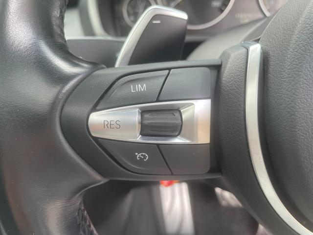 Ｘ５ ｘＤｒｉｖｅ　３５ｄ　Ｍスポーツ　黒本革シート　パノラマサンルーフ　２０インチアルミホイール　クルーズコントロール　純正ナビ　ｂｌｕｅｔｏｏｔｈ　フルセグＴＶ／ＤＶＤ　３６０全方位カメラ　シートヒーター　パワーシート　パワーバックドア（28枚目）