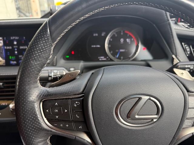 ＬＳ ＬＳ５００　Ｆスポーツ　ＷＡＬＤエアロマフラー２２ＡＷ純正ナビ地デジＢｌｕｅｔｏｏｔｈ全方位サンルーフＥＴＣマークレビンソンＴＺドラレコレーダーデジタルインナーミラーシートエアコン運転走行支援（27枚目）