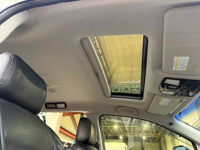 エルグランド ライダー エアロ社外AWナビ地デジバックカメラパワースライドドアPバックドアオットマンETCインテリキーフォグWサンルーフBluetooth(35枚目)