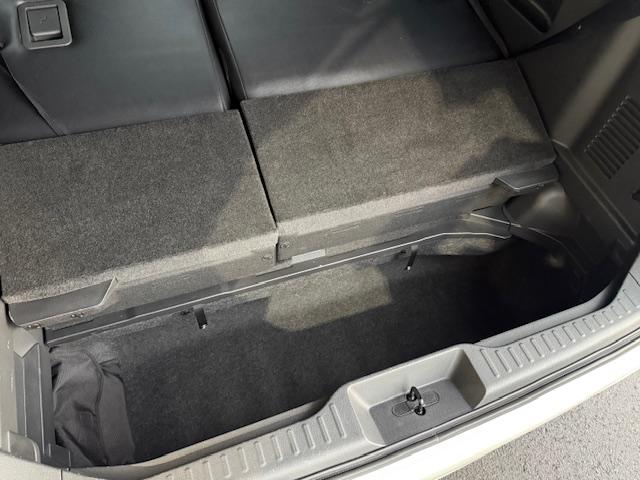 エルグランド ライダー エアロ社外AWナビ地デジバックカメラパワースライドドアPバックドアオットマンETCインテリキーフォグWサンルーフBluetooth(44枚目)