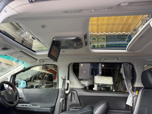 �v�T�����[�t�Ŏ����𖾂邭�Ƃ炵�Ă���܂��I����̂ƂȂ��̂ł͑�Ⴂ�I