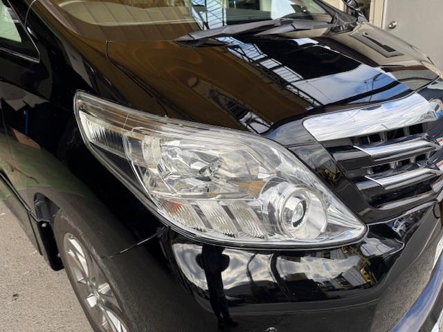 �w�b�h���C�g�̂悭���鉩�΂݁A�Ă������Ȃ�����������܂����铹�����邭�Ƃ炵�Ă���܂��I�I