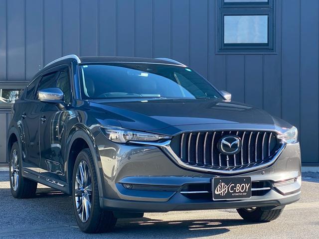 ＣＸ－８ ＸＤ　Ｌパッケージ　ワンオーナー　マツダコネクトナビ　ブルートゥース　ＤＶＤキット付き　ブルートゥース　クルーズコントロール　シートヒーター　ステアリングリモコン　シートクーラー　パノラマモニター　ＥＴＣ　パワーシート（7枚目）