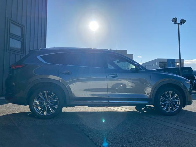 ＣＸ－８ ＸＤ　Ｌパッケージ　ワンオーナー　マツダコネクトナビ　ブルートゥース　ＤＶＤキット付き　ブルートゥース　クルーズコントロール　シートヒーター　ステアリングリモコン　シートクーラー　パノラマモニター　ＥＴＣ　パワーシート（8枚目）