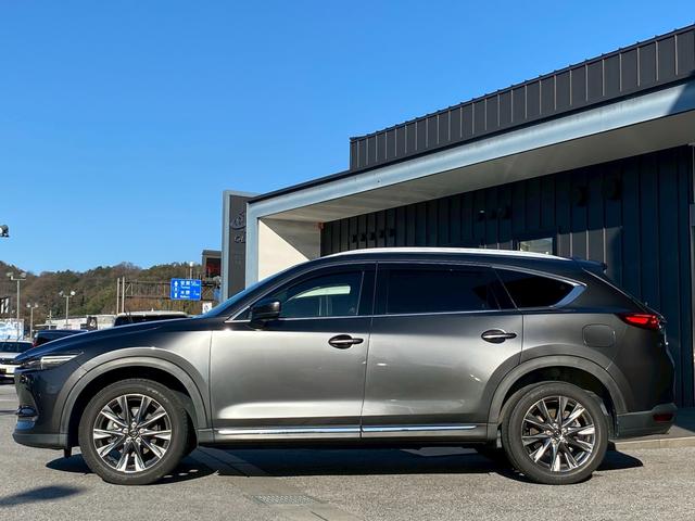ＣＸ－８ ＸＤ　Ｌパッケージ　ワンオーナー　マツダコネクトナビ　ブルートゥース　ＤＶＤキット付き　ブルートゥース　クルーズコントロール　シートヒーター　ステアリングリモコン　シートクーラー　パノラマモニター　ＥＴＣ　パワーシート（12枚目）