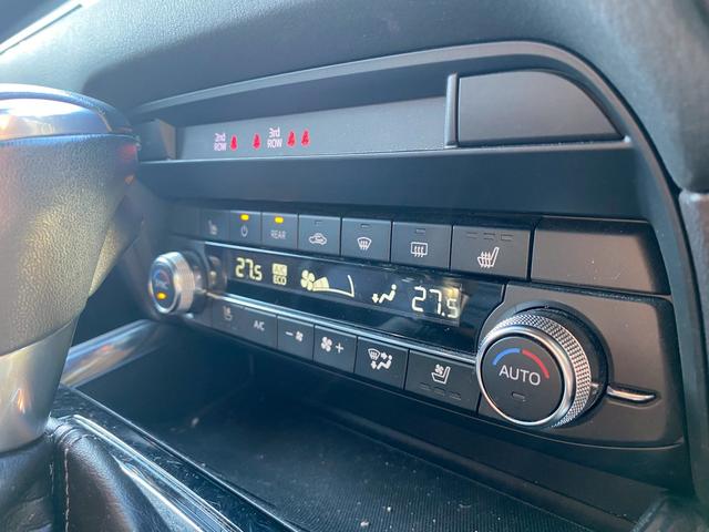 ＣＸ－８ ＸＤ　Ｌパッケージ　ワンオーナー　マツダコネクトナビ　ブルートゥース　ＤＶＤキット付き　ブルートゥース　クルーズコントロール　シートヒーター　ステアリングリモコン　シートクーラー　パノラマモニター　ＥＴＣ　パワーシート（21枚目）