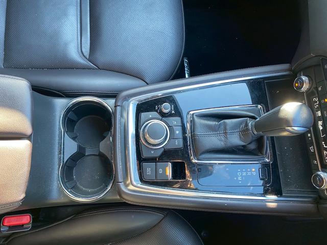 ＣＸ－８ ＸＤ　Ｌパッケージ　ワンオーナー　マツダコネクトナビ　ブルートゥース　ＤＶＤキット付き　ブルートゥース　クルーズコントロール　シートヒーター　ステアリングリモコン　シートクーラー　パノラマモニター　ＥＴＣ　パワーシート（22枚目）