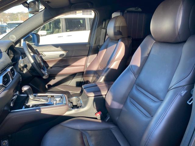 ＣＸ－８ ＸＤ　Ｌパッケージ　ワンオーナー　マツダコネクトナビ　ブルートゥース　ＤＶＤキット付き　ブルートゥース　クルーズコントロール　シートヒーター　ステアリングリモコン　シートクーラー　パノラマモニター　ＥＴＣ　パワーシート（35枚目）