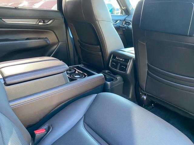 ＣＸ－８ ＸＤ　Ｌパッケージ　ワンオーナー　マツダコネクトナビ　ブルートゥース　ＤＶＤキット付き　ブルートゥース　クルーズコントロール　シートヒーター　ステアリングリモコン　シートクーラー　パノラマモニター　ＥＴＣ　パワーシート（36枚目）