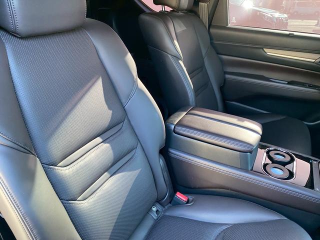 ＣＸ－８ ＸＤ　Ｌパッケージ　ワンオーナー　マツダコネクトナビ　ブルートゥース　ＤＶＤキット付き　ブルートゥース　クルーズコントロール　シートヒーター　ステアリングリモコン　シートクーラー　パノラマモニター　ＥＴＣ　パワーシート（38枚目）