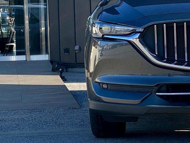 ＣＸ－８ ＸＤ　Ｌパッケージ　ワンオーナー　マツダコネクトナビ　ブルートゥース　ＤＶＤキット付き　ブルートゥース　クルーズコントロール　シートヒーター　ステアリングリモコン　シートクーラー　パノラマモニター　ＥＴＣ　パワーシート（53枚目）