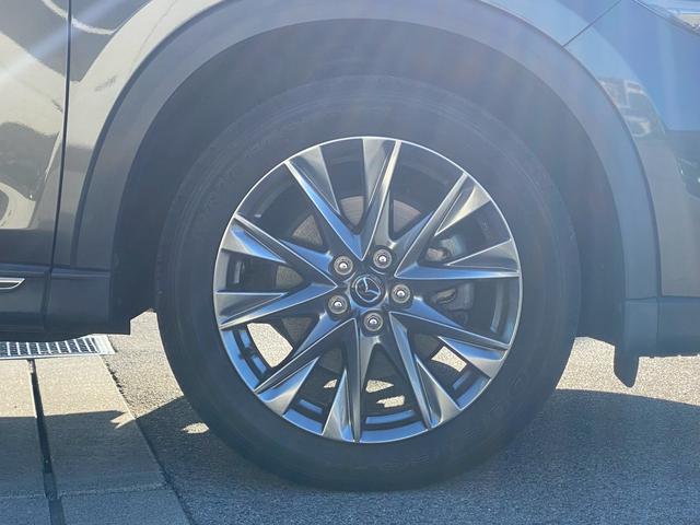 ＣＸ－８ ＸＤ　Ｌパッケージ　ワンオーナー　マツダコネクトナビ　ブルートゥース　ＤＶＤキット付き　ブルートゥース　クルーズコントロール　シートヒーター　ステアリングリモコン　シートクーラー　パノラマモニター　ＥＴＣ　パワーシート（55枚目）