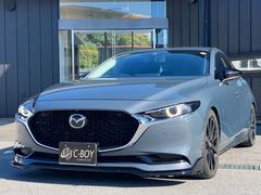 ܡɧŹϼ촰νָΥեեǤ 5