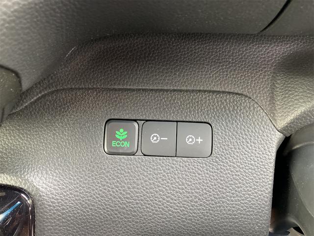 Ｎ－ＢＯＸカスタム Ｇ・Ｌホンダセンシング　ディスプレイオーディオ　ＥＴＣ　バックカメラ　両側スライド・片側電動　ＴＶ　クリアランスソナー　オートクルーズコントロール　レーンアシスト　衝突被害軽減システム　オートライト（48枚目）