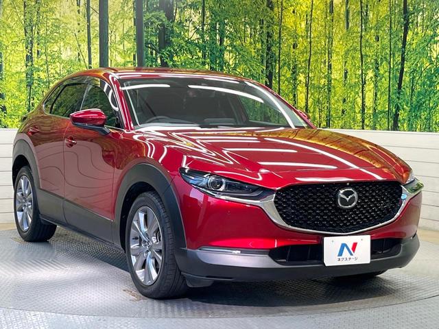 ＣＸ－３０ ２０Ｓ　プロアクティブ　ツーリングセレクション　純正ナビ　全周囲カメラ　スマートブレーキサポート　レーダークルーズ　パワーシート　シートヒーター　ＥＴＣ　ドラレコ　電動リアゲート　スマートキー　コーナーセンサー　ＬＥＤヘッドライト　ＣＤ／ＤＶＤ再生（16枚目）