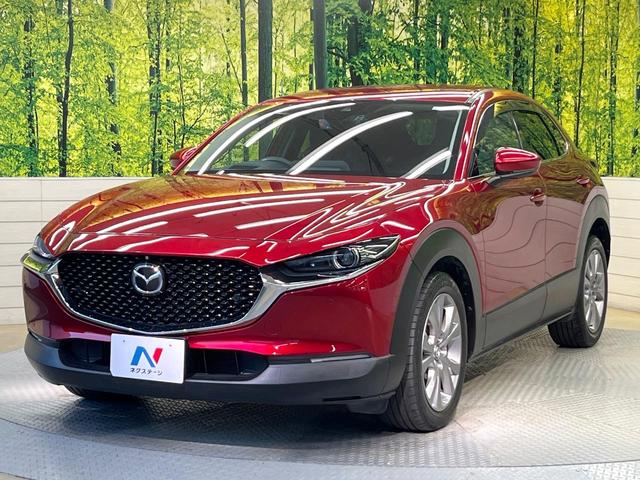 ＣＸ－３０ ２０Ｓ　プロアクティブ　ツーリングセレクション　純正ナビ　全周囲カメラ　スマートブレーキサポート　レーダークルーズ　パワーシート　シートヒーター　ＥＴＣ　ドラレコ　電動リアゲート　スマートキー　コーナーセンサー　ＬＥＤヘッドライト　ＣＤ／ＤＶＤ再生（67枚目）