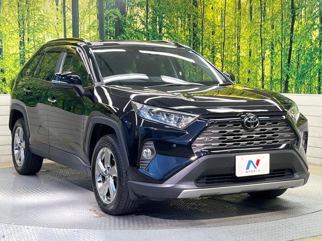 ＲＡＶ４ Ｇ　セーフティセンス　ＢＩＧ－Ｘ９型ナビ　バックカメラ　フルセグ　レーダークルーズ　電動リアゲート　パワーシート　シートヒーター　ステアリングヒーター　ブラインドスポットモニター　純正１８インチアルミ（16枚目）