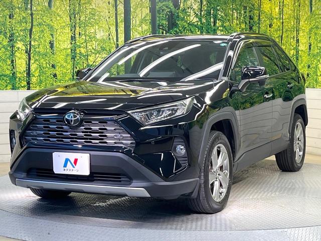 ＲＡＶ４ Ｇ　セーフティセンス　ＢＩＧ－Ｘ９型ナビ　バックカメラ　フルセグ　レーダークルーズ　電動リアゲート　パワーシート　シートヒーター　ステアリングヒーター　ブラインドスポットモニター　純正１８インチアルミ（33枚目）