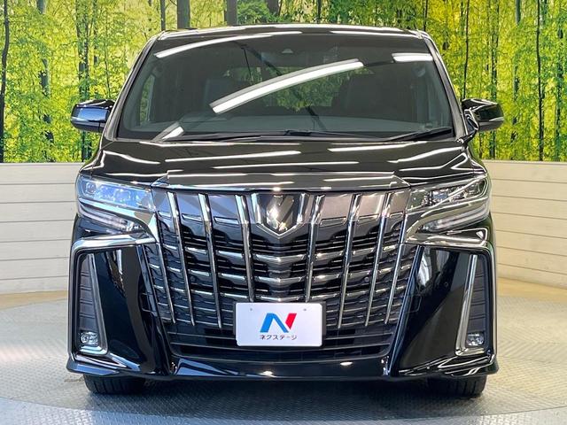 アルファード 2.5S タイプゴールド フリップダウンモニター 純正9インチナビ バックカメラ 両側パワースライドドア デジタルインナーミラー ブラインドスポットモニター クルーズコントロール パワーバックドア トヨタセーフティーセンス(16枚目)