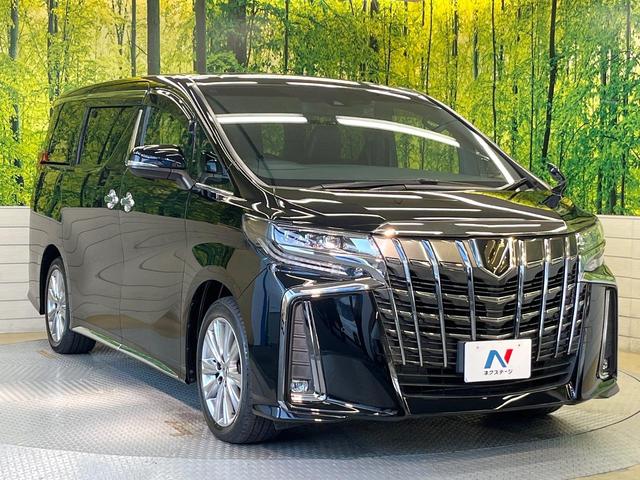 アルファード 2.5S タイプゴールド フリップダウンモニター 純正9インチナビ バックカメラ 両側パワースライドドア デジタルインナーミラー ブラインドスポットモニター クルーズコントロール パワーバックドア トヨタセーフティーセンス(18枚目)