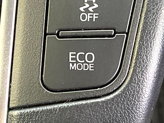 アルファード 2.5S タイプゴールド フリップダウンモニター 純正9インチナビ バックカメラ 両側パワースライドドア デジタルインナーミラー ブラインドスポットモニター クルーズコントロール パワーバックドア トヨタセーフティーセンス(31枚目)