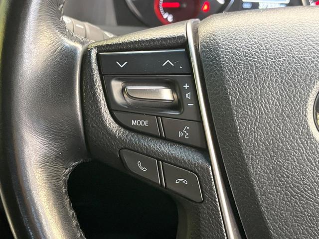 アルファード 2.5S タイプゴールド フリップダウンモニター 純正9インチナビ バックカメラ 両側パワースライドドア デジタルインナーミラー ブラインドスポットモニター クルーズコントロール パワーバックドア トヨタセーフティーセンス(34枚目)